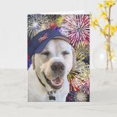 Carte Chien d'anniversaire patriotique et feux d'artific (Fleur jaune)