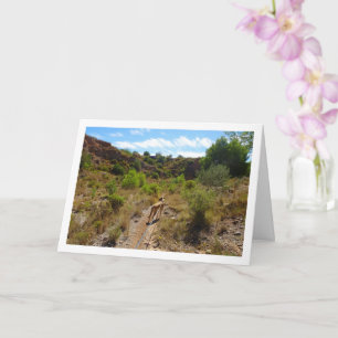 Carte Chien dans Canyon