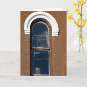 Carte Chien dans la fenêtre (Fleur jaune)