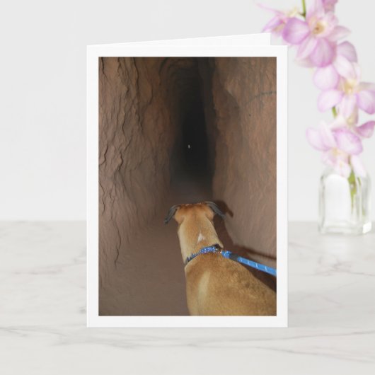 Carte Chien dans la grotte (Orchidée)
