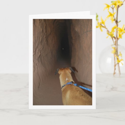 Carte Chien dans la grotte (Fleur jaune)
