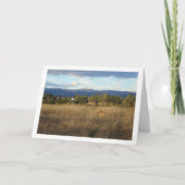 Carte Chien dans le paysage rural (Devant)