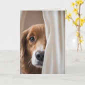 Carte Chien Dans Les Rideaux Pour Vous Manquer (Fleur jaune)