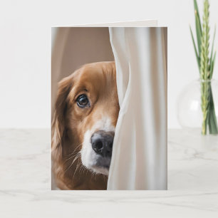 Carte Chien Dans Les Rideaux Pour Vous Manquer