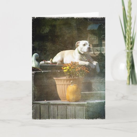 Carte Chien d'automne (Devant)