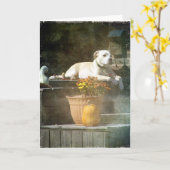 Carte Chien d'automne (Fleur jaune)