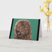 Carte Chien de Barbet (Fleur jaune)