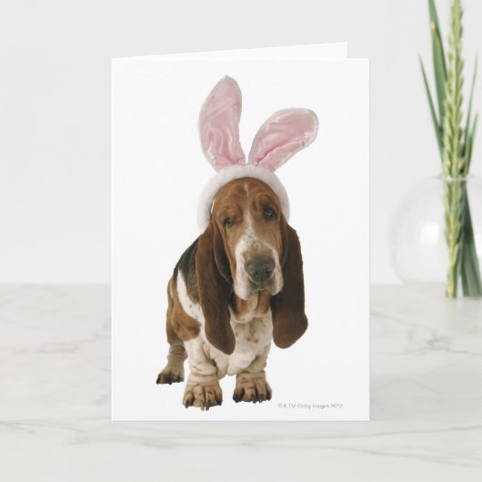 Carte Chien de basset avec des oreilles de lapin (Devant)