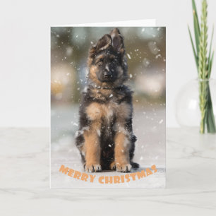 Carte Chien de berger allemand chiot à noël.