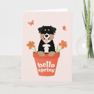 Carte Chien De Berger Australien En Pot De Fleurs