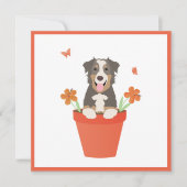 Carte Chien De Berger Australien En Pot De Fleurs (Devant)