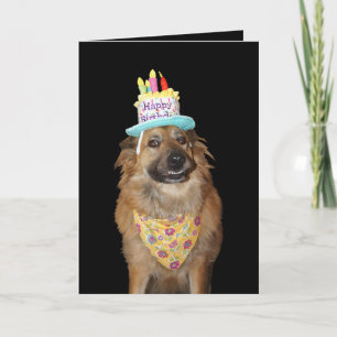 Carte Chien de berger mignon anniversaire mixte