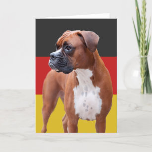 Carte Chien de boxe