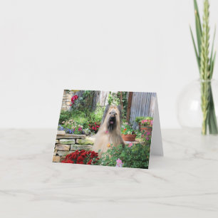 Carte Chien de Briard dans le jardin d'agrément