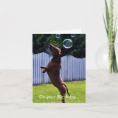 Carte Chien de bulle d'anniversaire (Devant)