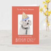 Carte Chien de caniche à l'Humour d'anniversaire humain, (Fleur jaune)