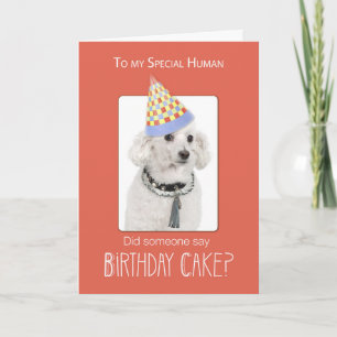 Carte Chien de caniche à l'Humour d'anniversaire humain,