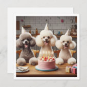 Carte chien de caniche, Anniversaire de caniche (Devant / Derrière)