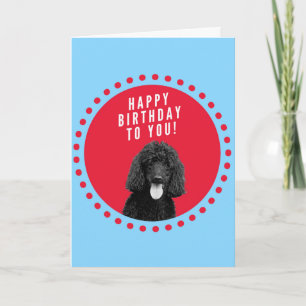 Carte Chien de caniche mignon Joyeux Anniversaire Cercle