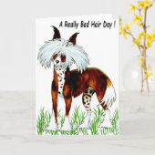 Carte Chien de Chine, Journée des cheveux morts (Fleur jaune)