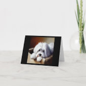 Carte Chien de Coton de Tulear (Devant)
