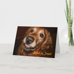Carte Chien de des bonbons ou un sort