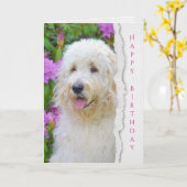Carte Chien de Goldendoodle dans l'anniversaire de (Fleur jaune)
