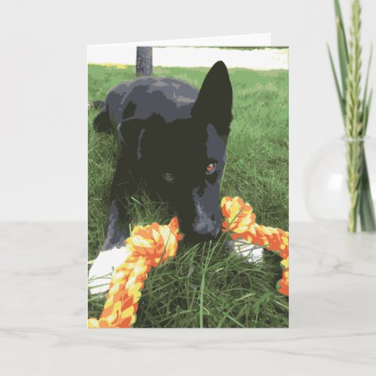 Carte Chien de labo Cute Husky avec un jouet en corde No (Devant)