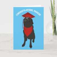 Chien de laboratoire noir dans une casquette de gr