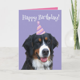 Carte Chien de montagne bernois Chiot Anniversaire