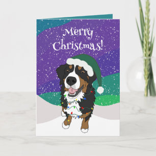 Carte Chien de montagne bernois de Noël