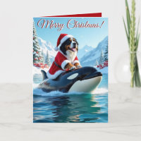 Chien de montagne bernois et Noël d'Orca