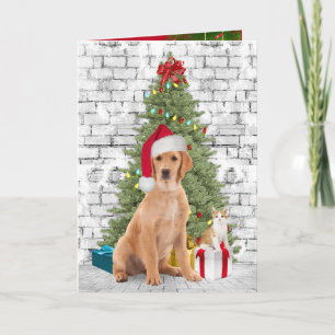 Carte Chien de Noël et Kitten