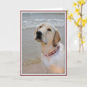 Carte Chien de papa (Fleur jaune)