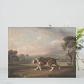 Carte Chien de pointer espagnol (par George Stubbs) (Debout devant)