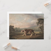 Carte Chien de pointer espagnol (par George Stubbs) (Devant/Arrière en situation)