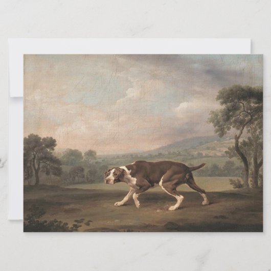 Carte Chien de pointer espagnol (par George Stubbs) (Devant)