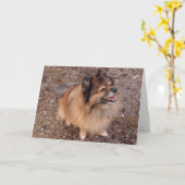 Carte Chien de Poméranie (Fleur jaune)
