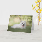 Carte Chien de Poméranie blanche Joyeux anniversaire (Fleur jaune)