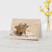 Carte Chien de prairie curieux (Fleur jaune)