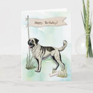 Carte Chien de race anatolien sous signe d'anniversaire