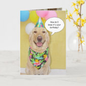 Carte Chien de reniflement de gâteau (Fleur jaune)