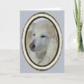 Carte * Chien de sable - Vous avez manqué (Devant)