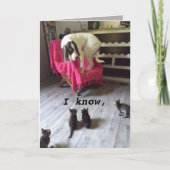 CARTE CHIEN DE SCARDY (Devant)