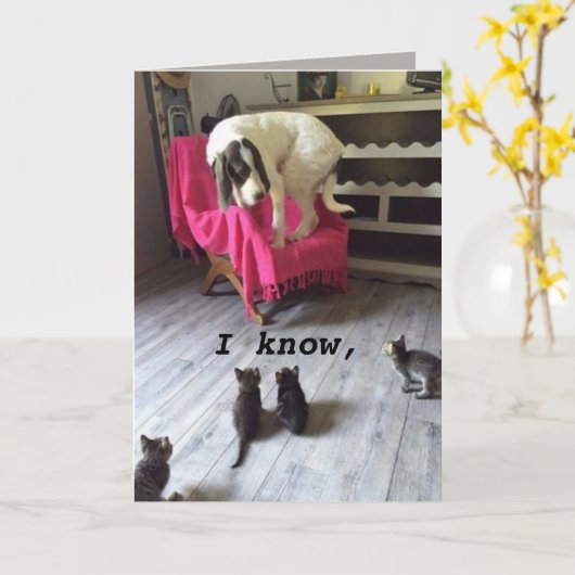 CARTE CHIEN DE SCARDY (Fleur jaune)