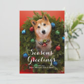 Carte Chien de Shiba Inu (Debout devant)