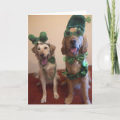 Carte Chien de St. Patrick (Devant)