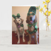 Carte Chien de St. Patrick (Fleur jaune)