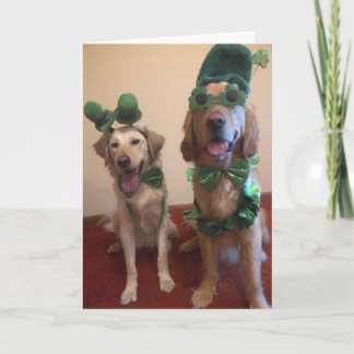 Carte Chien de St. Patrick
