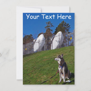 Carte Chien de suivi personnalisable
